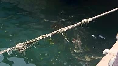 海水缆绳实拍高清视频的预览图